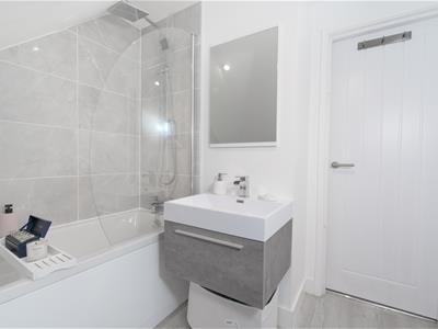 Picture 11